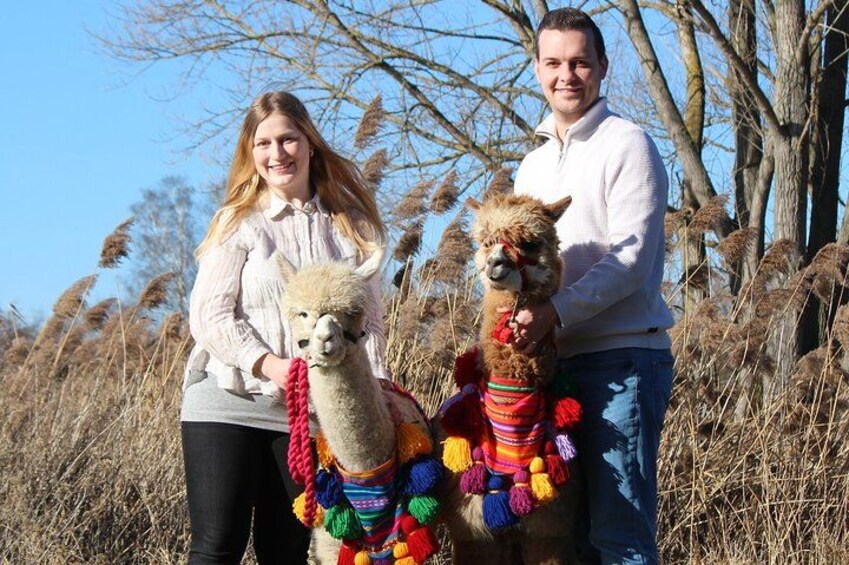 Alpaca hike at Richmond Castle 3
