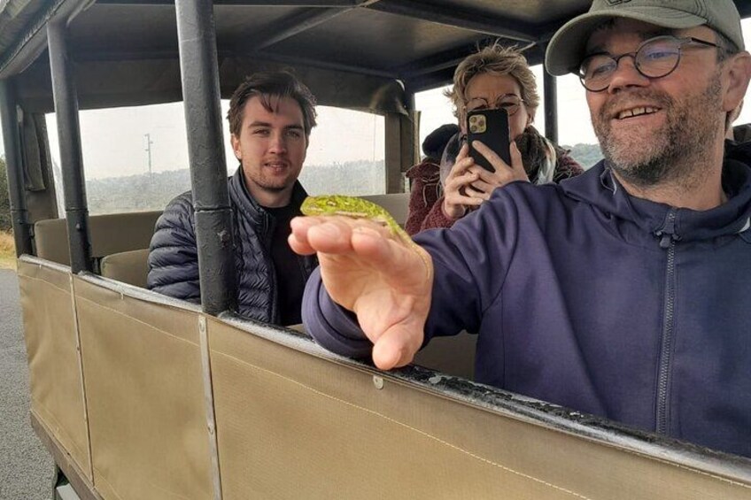 A vehicle with passengers, one holding a frog. 4