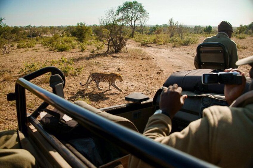 Kruger National Park 5