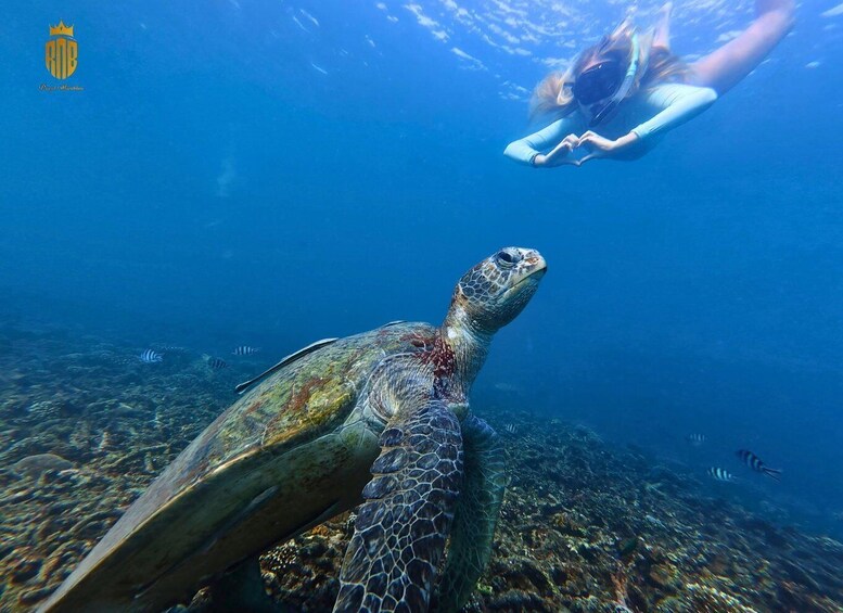 Picture 2 for Activity Koh Tao: Hidden Bays Small-Group Snorkeling Tour with Lunch 2
