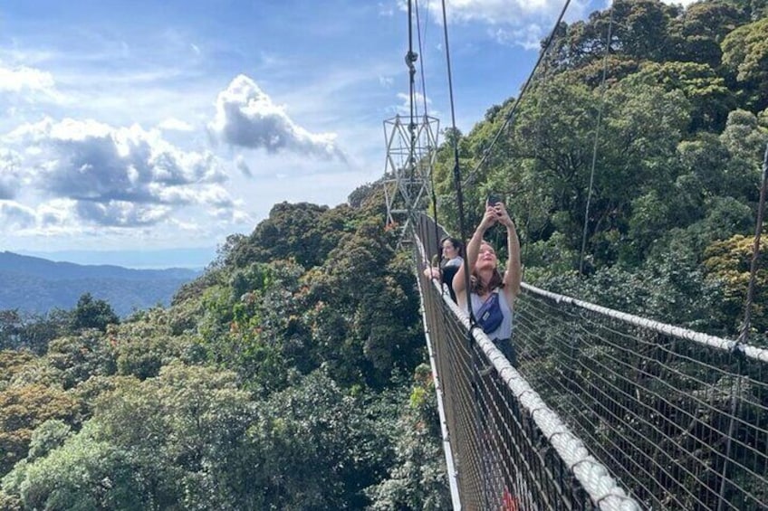 A person crossing a suspension bridge in a forested area. 3