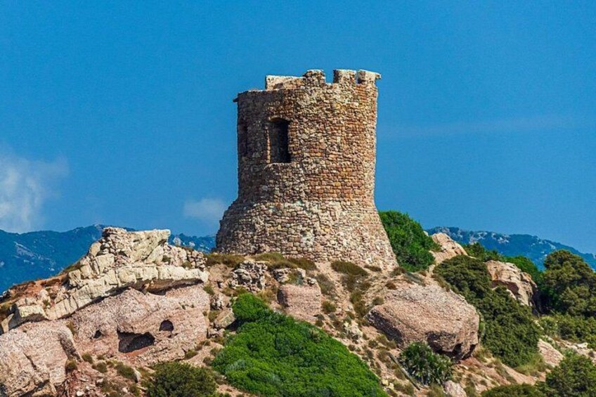 Alghero: Nuraghe Palmavera and Porto Conte Park small group Tour 4