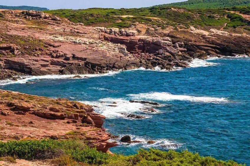 Alghero: Nuraghe Palmavera and Porto Conte Park small group Tour 2