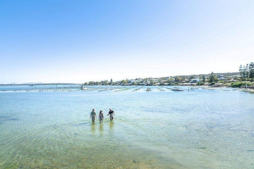 A clear water body with people wading, a distant shoreline with buildings, and a clear sky. 3