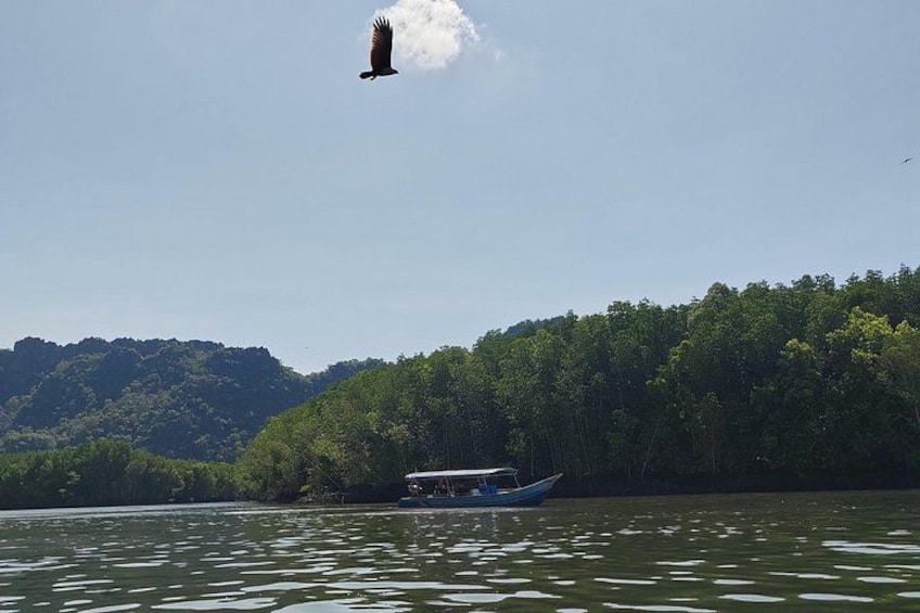 Ein Boot auf einem ruhigen Fluss, im Hintergrund ein bewaldeter Hügel. 4