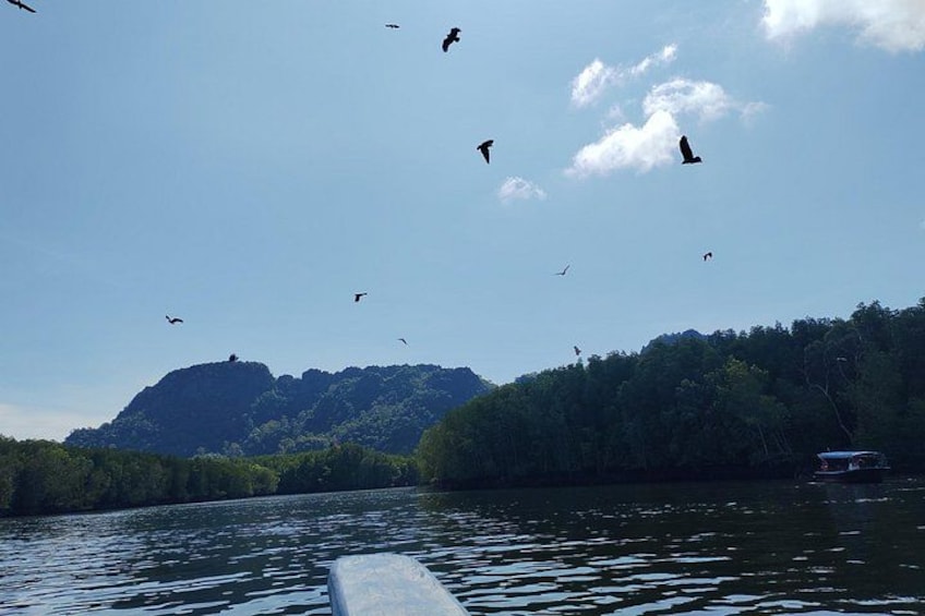 Ein Gewässer mit einem Boot, einem bewaldeten Hügel und Vögeln im Himmel. 5