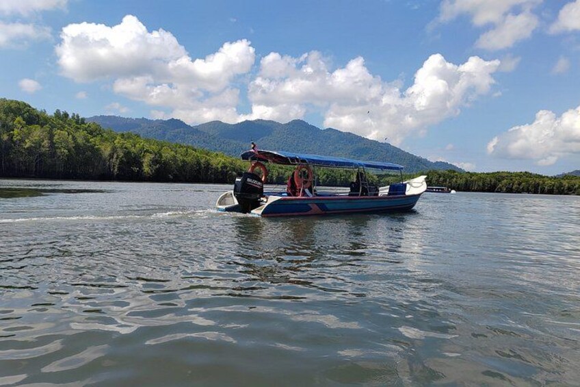 Langkawi Mangrove Boat Tour at Kilim Geoforest Park 3