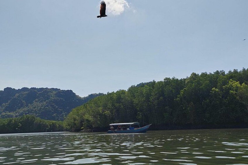 A boat on a calm lake with a forested hill in the background. 5