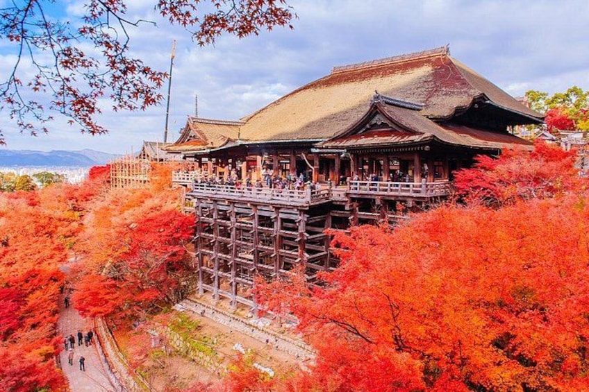 Kyoto and Nara UNESCO Highlights Full-day Tour From Osaka 2