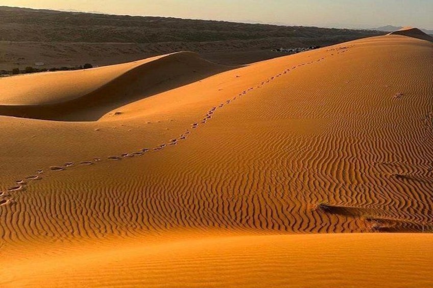 Paisaje desértico con dunas de arena y un rastro de huellas. 1