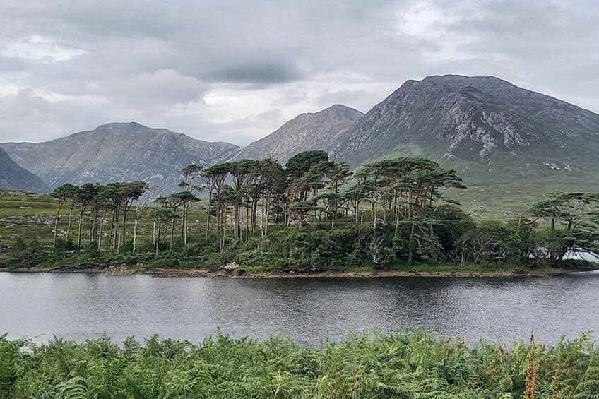 A lake surrounded by mountains and a group of trees. 4