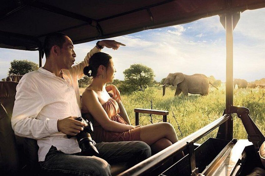 A safari vehicle with a man and a woman observing wildlife. 3