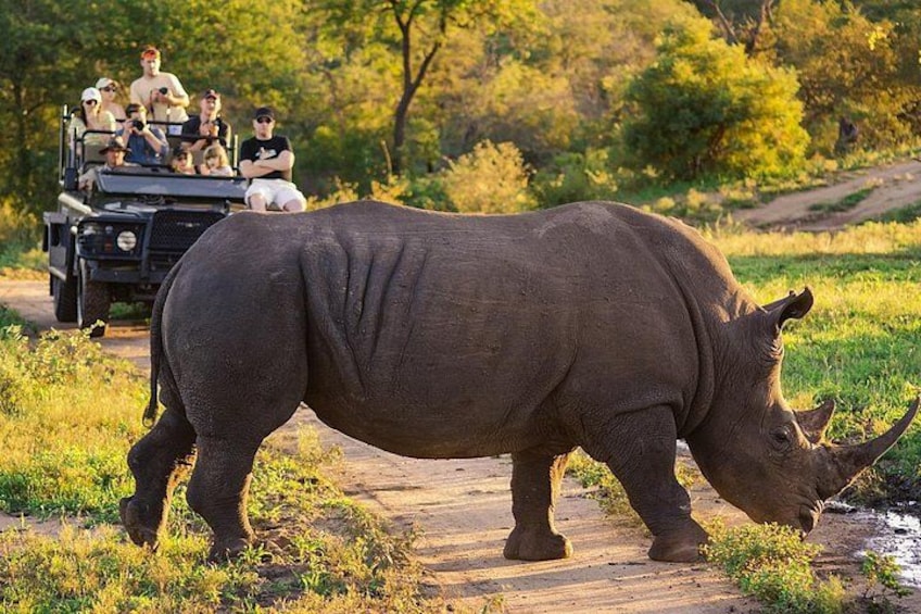 Kruger National Park 5