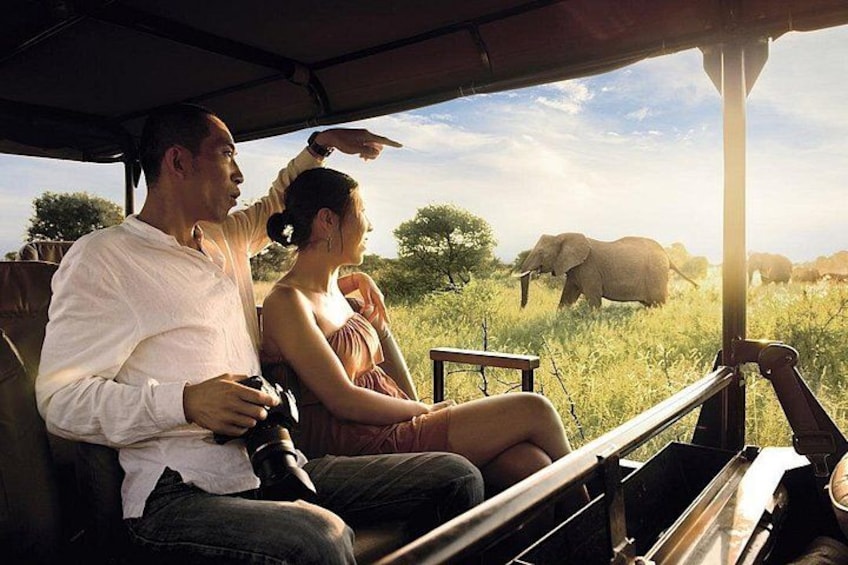 Kruger National Park 4
