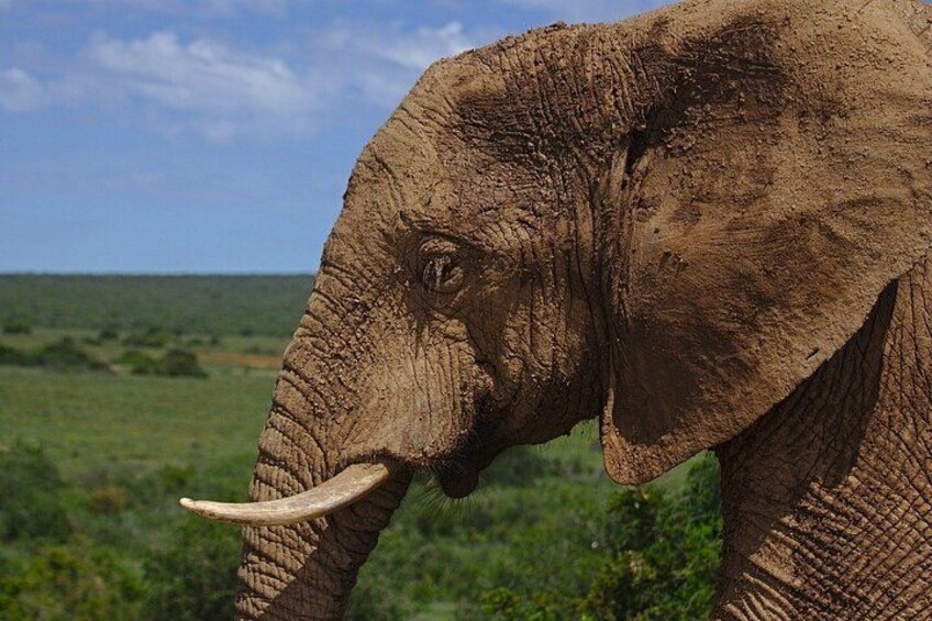 Kruger National Park 3
