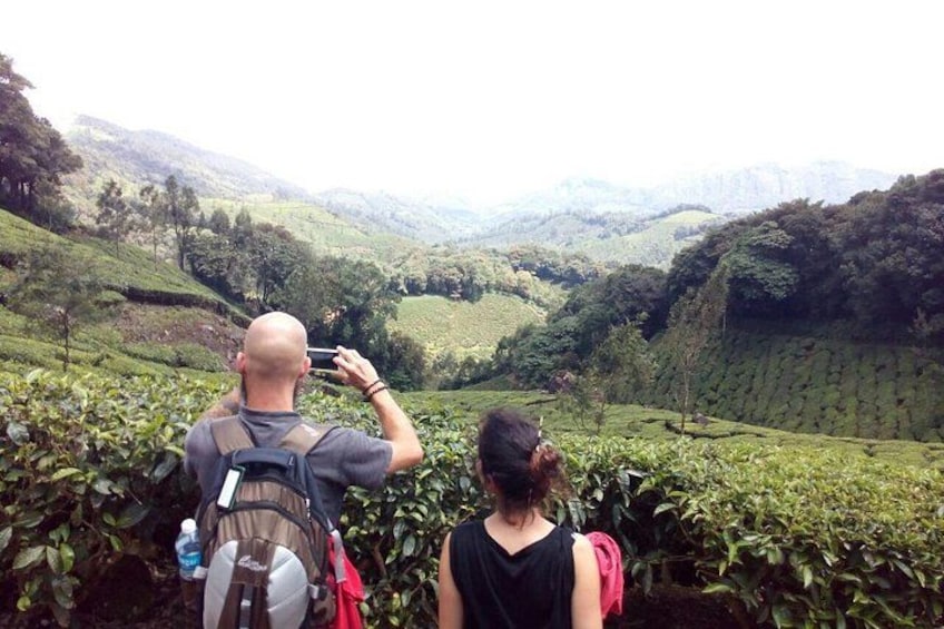 Munnar Tea Plantation Evening walking with Sunset View 1