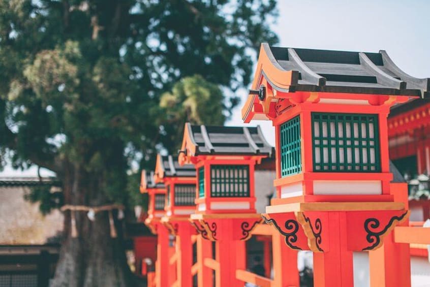 Nara Deer Park, Uji Matcha, & Hot Spring Full-Day Tour from Osaka 2