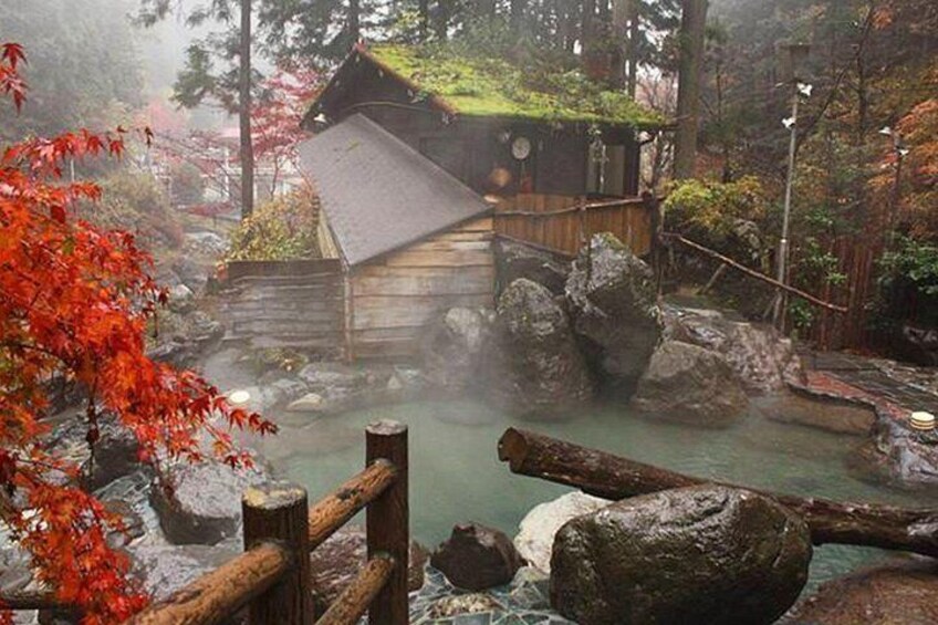 Nara Deer Park, Uji Matcha, & Hot Spring Full-Day Tour from Osaka 2