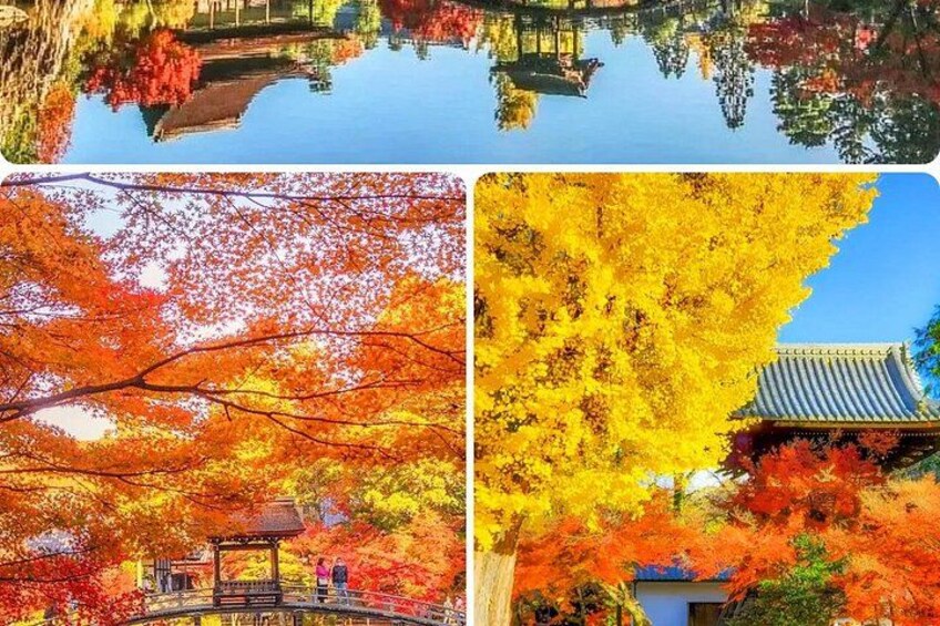 A traditional Japanese garden with a pond, autumn foliage, and a pagoda. 3
