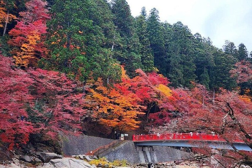 A red train on a bridge, autumn-colored trees, and a rocky landscape. 5