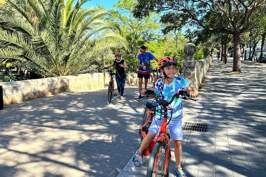 Perfect for first-time visitors — see all the must-see spots in one relaxing ride 5