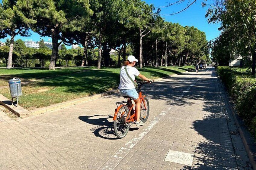 guided tour Valencia city 3