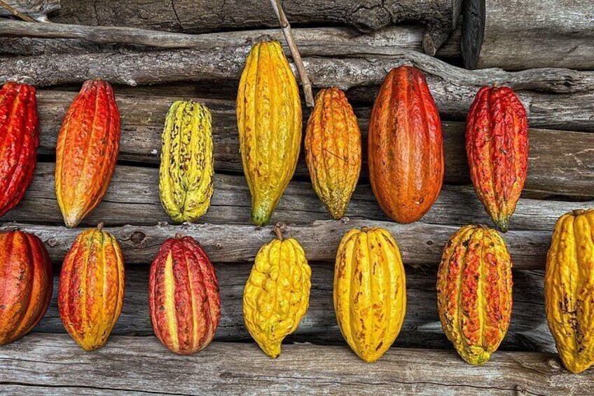 10 Bar Hawaiian Craft Chocolate Tasting Experience 2