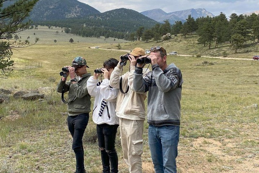 Full Day Tour in Rocky Mountain National Park Lunch Included 1