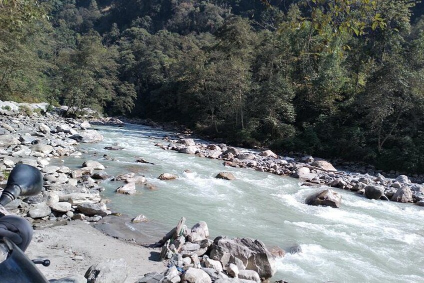 A river with rocks and a forested area in the background. 5
