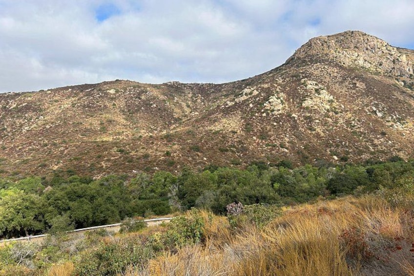 Mountain View 4