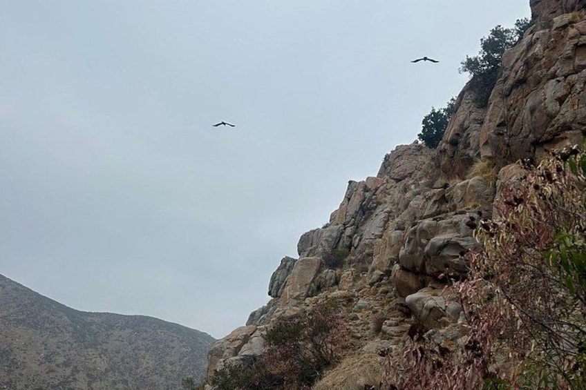 San Diego Mountain Hike and Meditation Tour 2