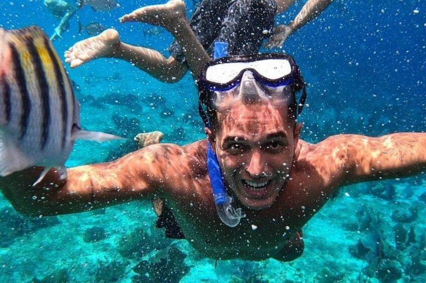 A person swimming underwater with a snorkel and mask. 2