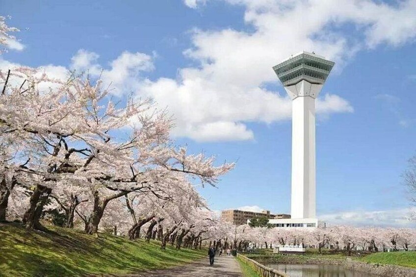 A tall white tower, cherry blossom trees, and a clear blue sky. 2