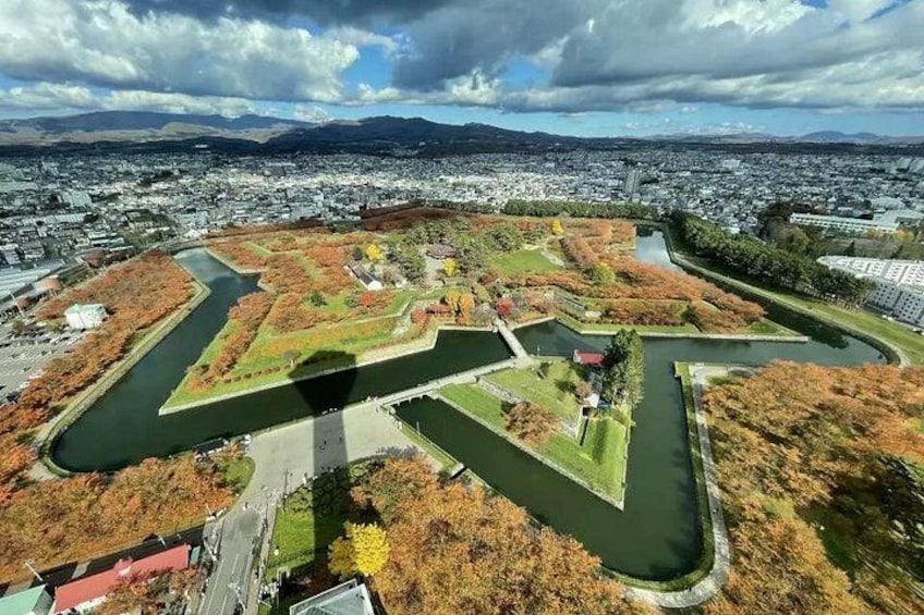 A park with winding paths, a central pond, and surrounding trees. 1