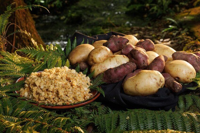 A variety of potatoes and a bowl of what appears to be a grain dish, set outdoors with ferns and a tree in the background. 2