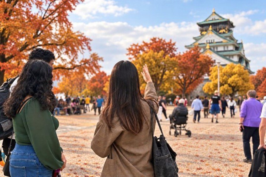 Last-Minute Osaka 5-Highlights Tour: Castle, Markets & Dotonbori 3