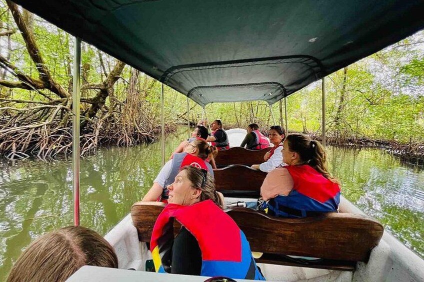 A boat tour with passengers wearing life jackets, surrounded by mangrove trees. 4