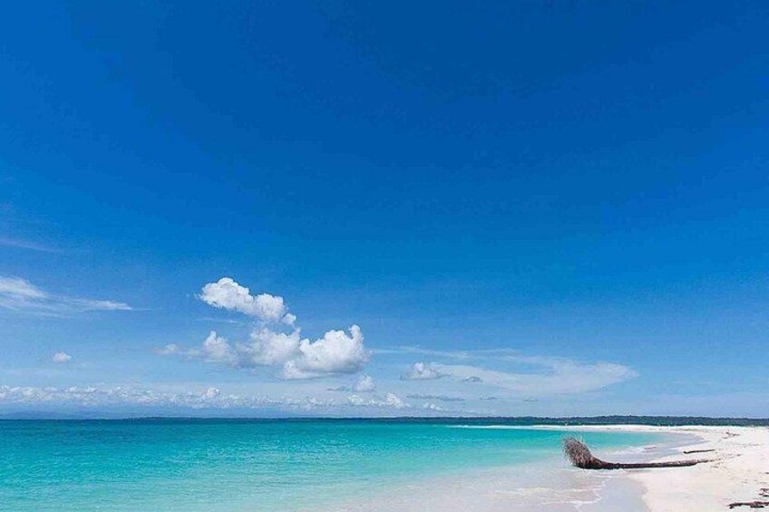 Bocas del Toro Island Hopping Day Tour in Zapatilla Beach 5