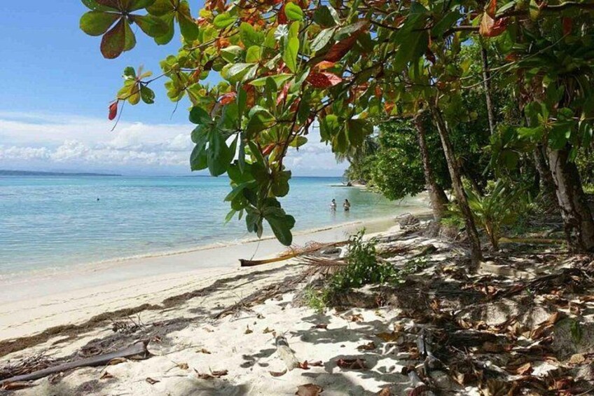 Bocas del Toro Island Hopping Day Tour in Zapatilla Beach 4