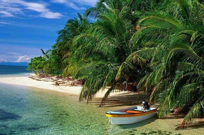 A beach with clear turquoise water, a boat, and lush palm trees. 2