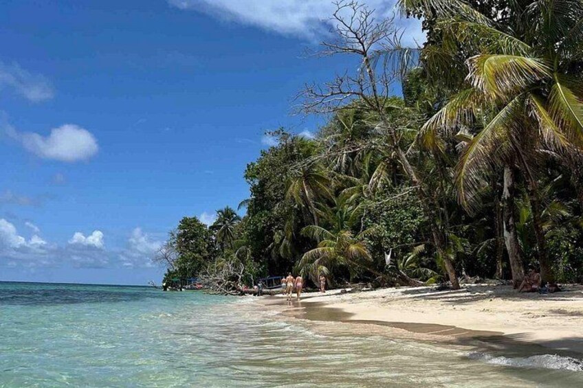 Bocas del Toro Island Hopping Day Tour in Zapatilla Beach 3