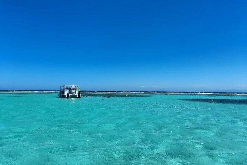 Roatan Monkey and sloths, Reef Snorkel & Private Cay Beach Break 4