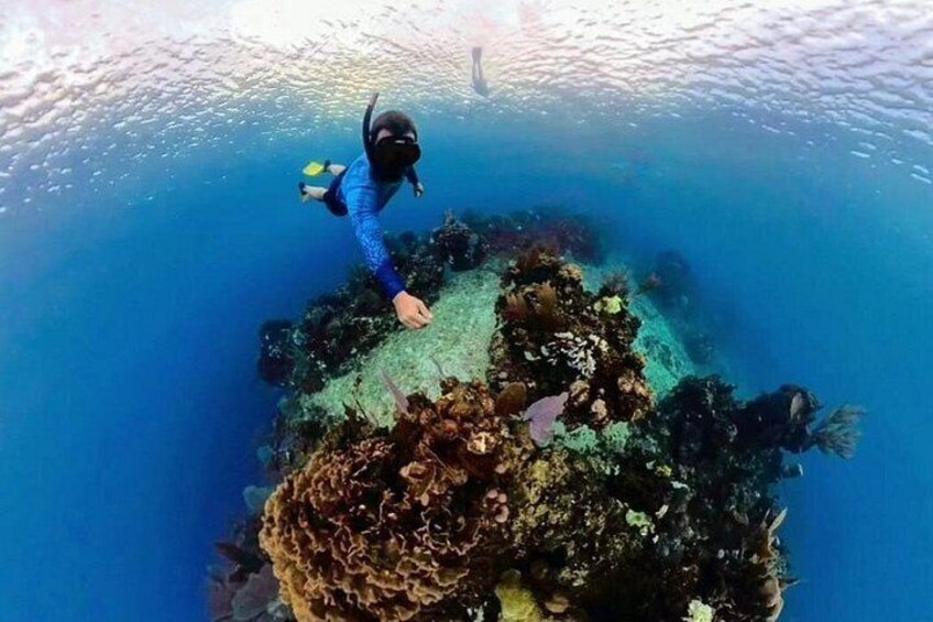 Roatan Monkey and sloths, Reef Snorkel & Private Cay Beach Break 3