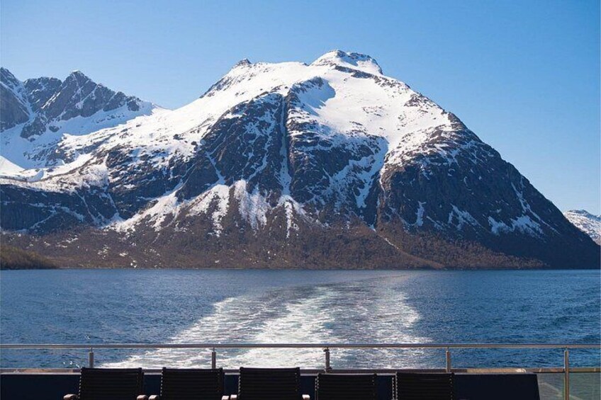 Beiarfjord & Saltstraumen Cruise with Guide 4