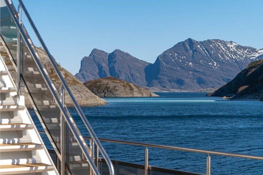 Beiarfjord & Saltstraumen Cruise with Guide 5
