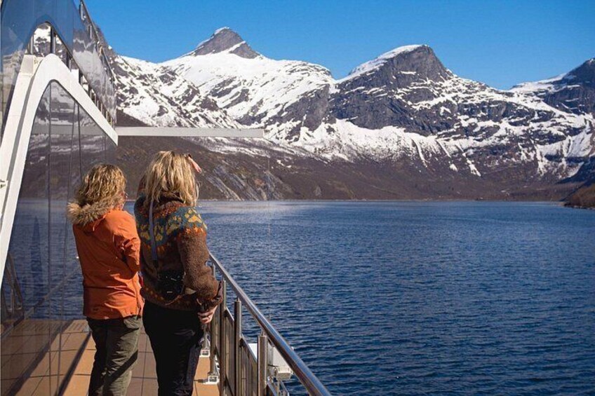 Beiarfjord & Saltstraumen Cruise with Guide 3