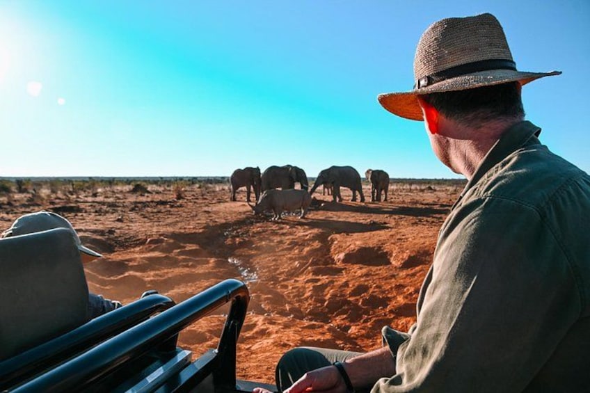 A man in a hat observing elephants in a desert landscape. 3