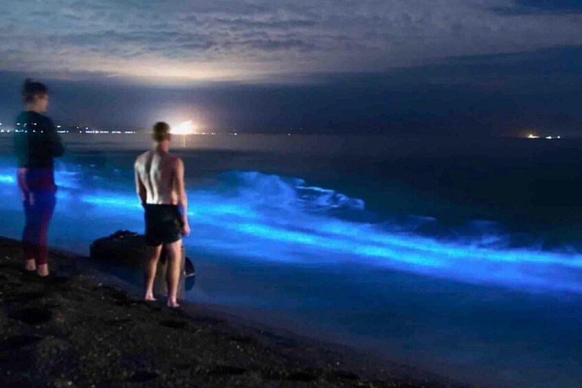 Bioluminescence Snorkeling and Boat Experience at Bocas del Toro 2