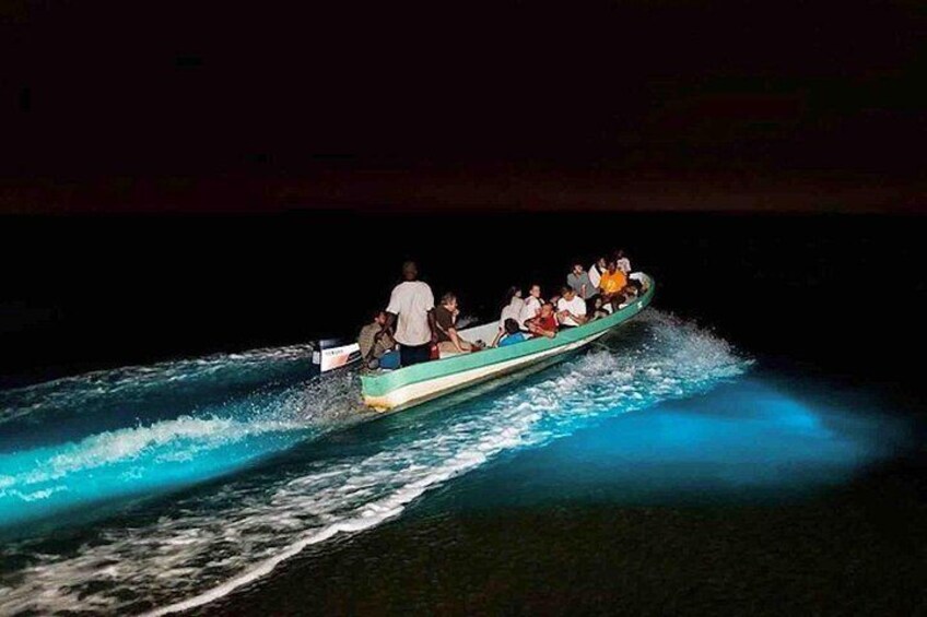 Bioluminescence Snorkeling and Boat Experience at Bocas del Toro 5