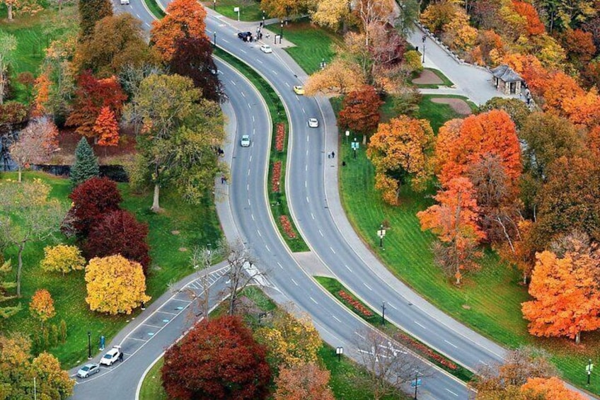 Self-Guided Niagara Falls Driving Audio Tour from Toronto 2